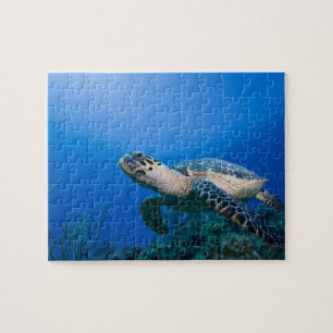 Cayman Islands, Little Cayman Island, Underwater 2 Jigsaw Puzzle
