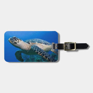 Cayman Islands, Little Cayman Island, Underwater 2 Luggage Tag