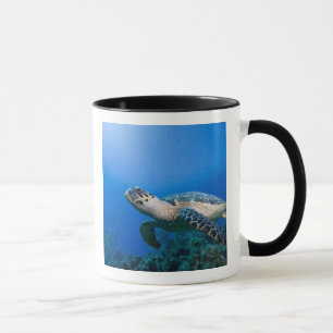 Cayman Islands, Little Cayman Island, Underwater 2 Mug