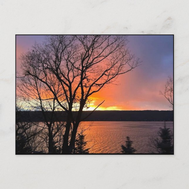 CAYUGA LAKE  POSTCARD (Front)