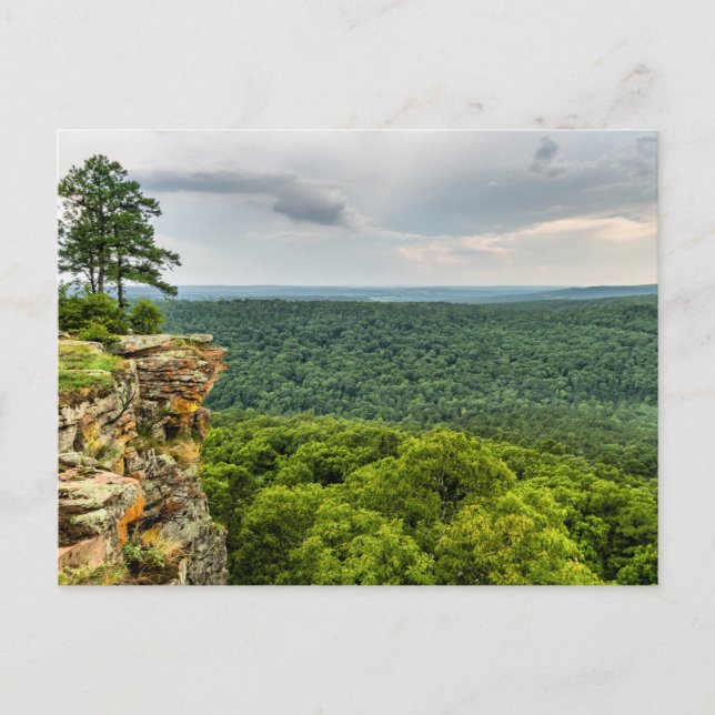 CCC Overlook Petit Jean Postcard (Front)