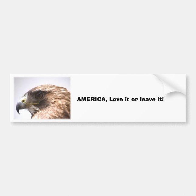 cd2 020, AMERICA, Love it or leave it! Bumper Sticker (Front)