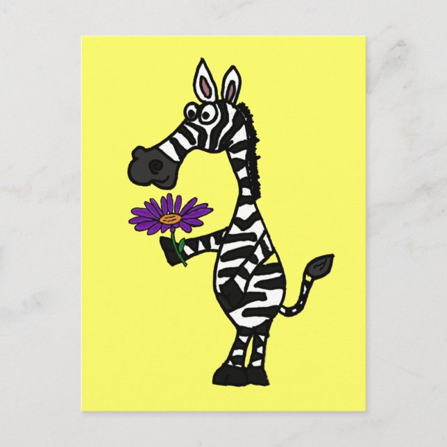 CD- Funny Zebra with Daisy Postcard (Front)