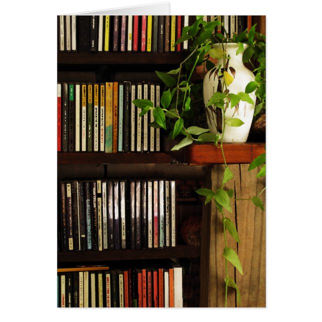 CD Shelves (Front)