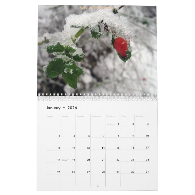 CdG 2010 Calendar (Jan 2026)