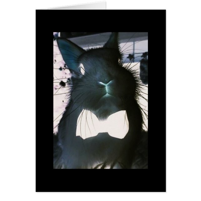 CE BUNNY CRAZY SIGNIFIE "AFFAIRES" **HAPPY EASTER* (Devant)