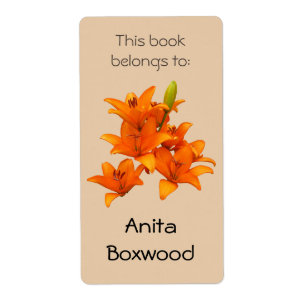 Ce livre appartient aux lis oranges nommés faits