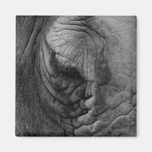 Ce que j'ai vu Rhino blanc. aimant