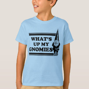Ce qui est vers le haut de mon Gnomies