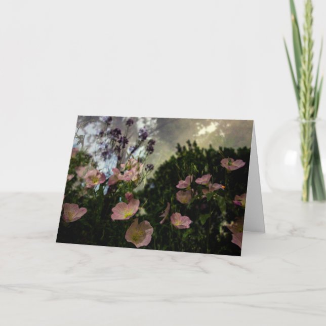 ce qui fleurit dans la carte des ombres (Devant)