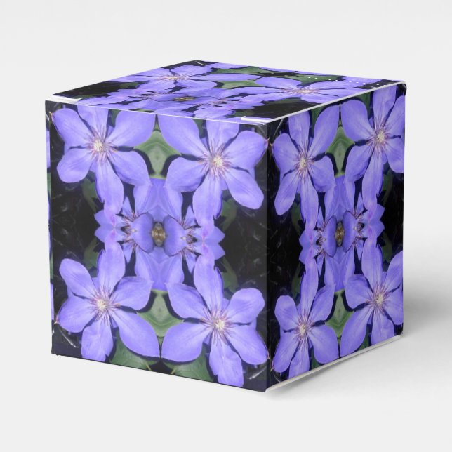Césarine Favor Box (Front Side)
