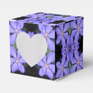 Césarine Favor Box