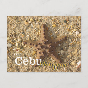 Cebu Philippines Brown Starfish Postcard