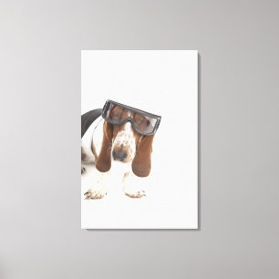 Cecelia Erhart Canvas Print