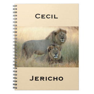 Cecil & Jericho Brother Lions from Africa Notebook