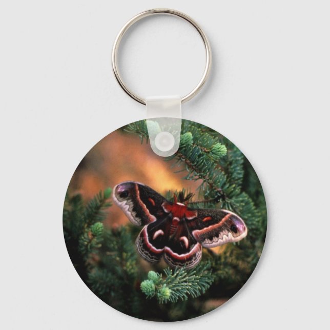 Cecropia moth keychain (Front)