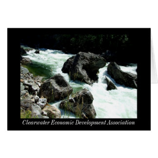 CEDA - Automnes de Selway