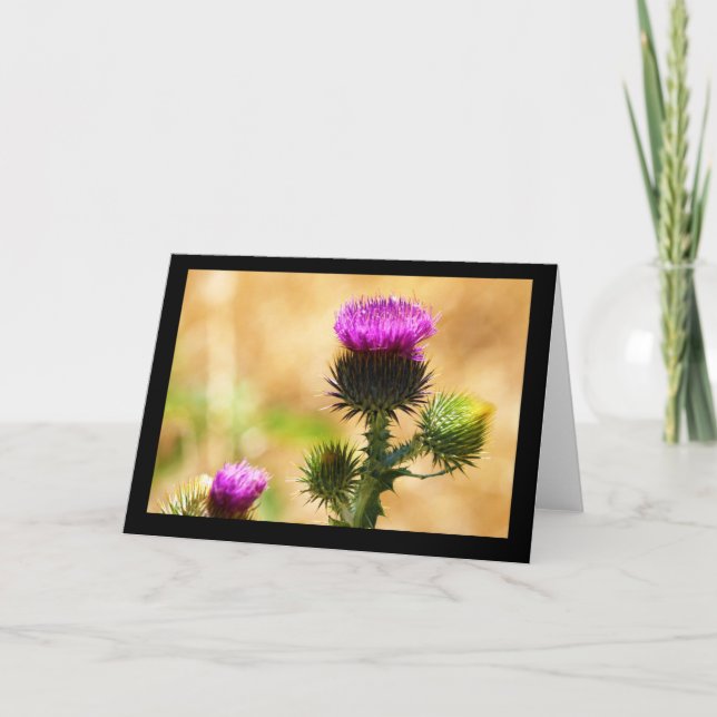 CEDA - L'IDAHO THISSLE - CARTE VIERGE (Devant)