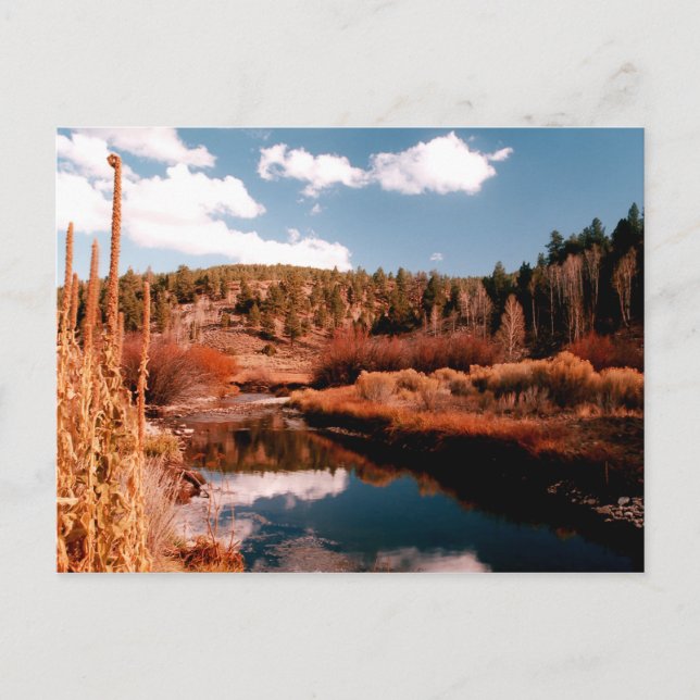 Cedar Breaks National Area, Utah Postcard (Front)
