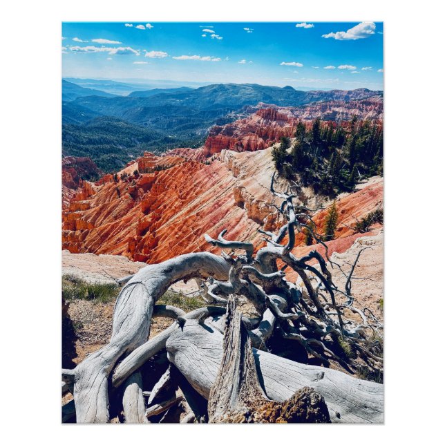 Cedar Breaks National Monument - Branch Poster (Front)