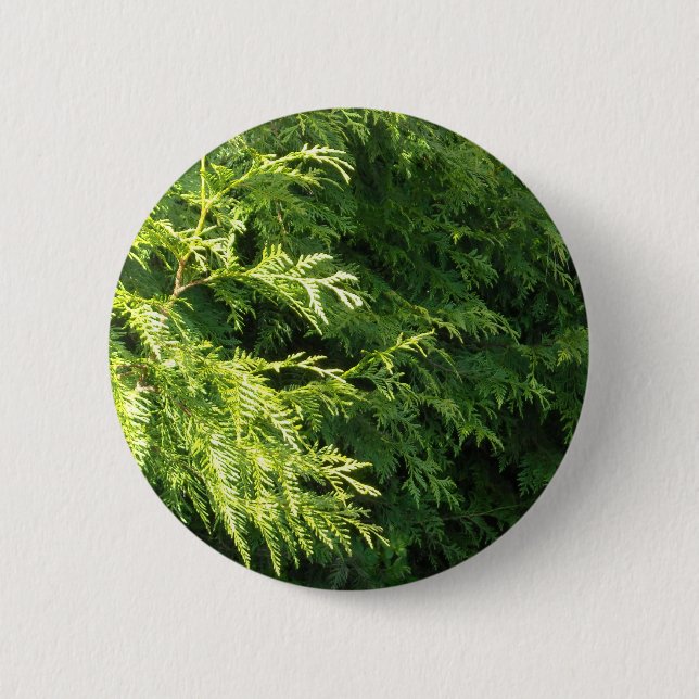 Cedar Hedge 2 Inch Round Button (Front)