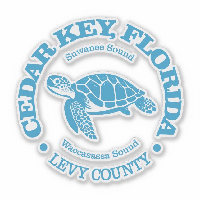 Cedar Key (sea turtle) (Front)
