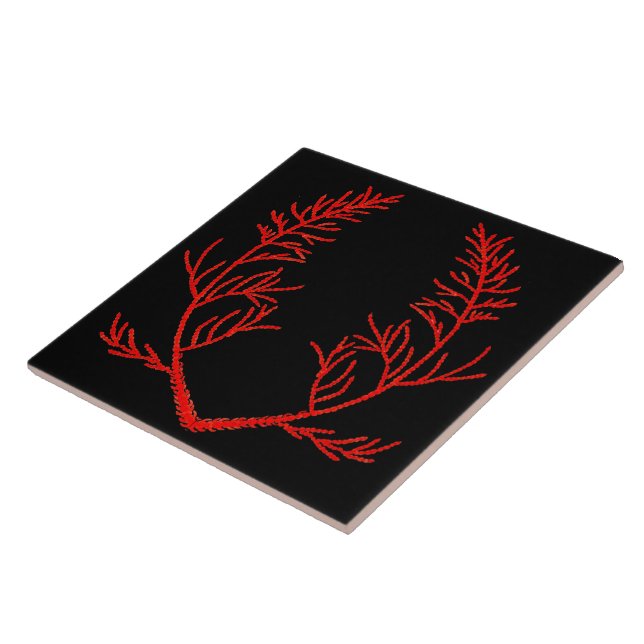 Cedar Leaves on a Black Ceramic Tile (Side)