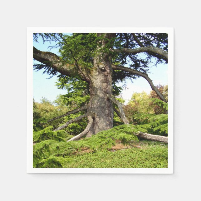 Cedar-of-Lebanon Tree Paper Napkins (Front)