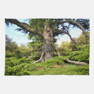 Cedar-of-Lebanon Tree Tea Towel