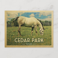 Cedar Park Texas Horse Farm -Vintage Travel