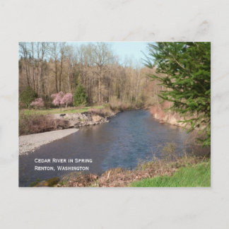 Cedar River Beach Postcard