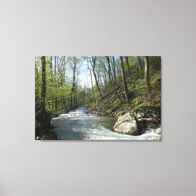 Cedar Run at White Oak Canyon Canvas Print (Front)