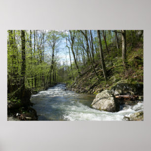 Cedar Run at White Oak Canyon Poster