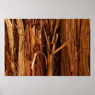 Cedar Textured Wooden Bark Look Poster