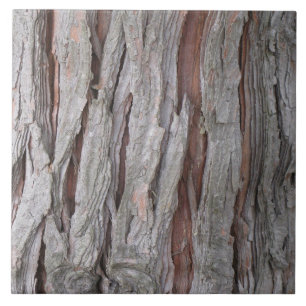 Cedar tree bark texture tile