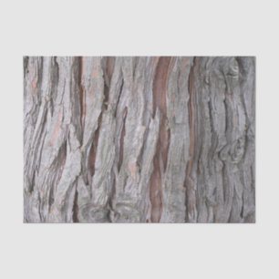 Cedar tree bark texture tissue paper