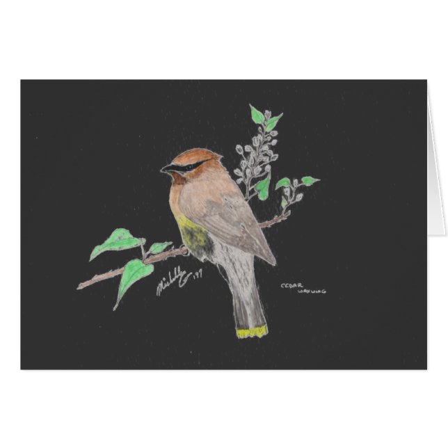 Cedar Waxwing (Front Horizontal)