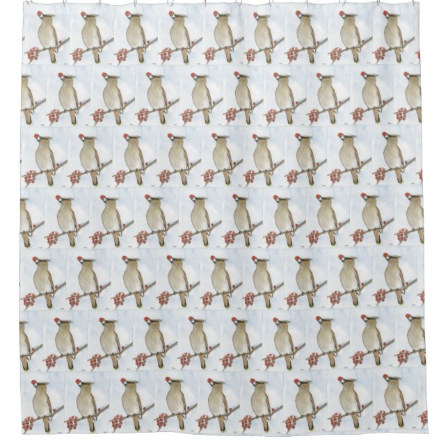 Cedar Waxwing (Front)