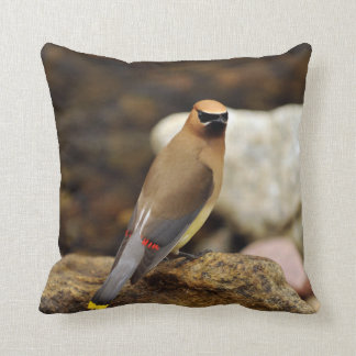 Cedar Waxwing American MoJo Pillow