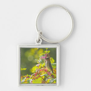 Cedar Waxwing And Poke Berries On A Tree Keychain