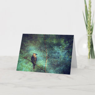 Cedar WaxWing Bird Card