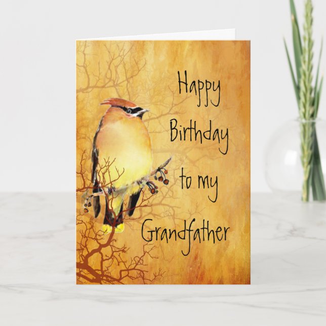 Cedar Waxwing Bird  Grandfather Birthday Card (Front)