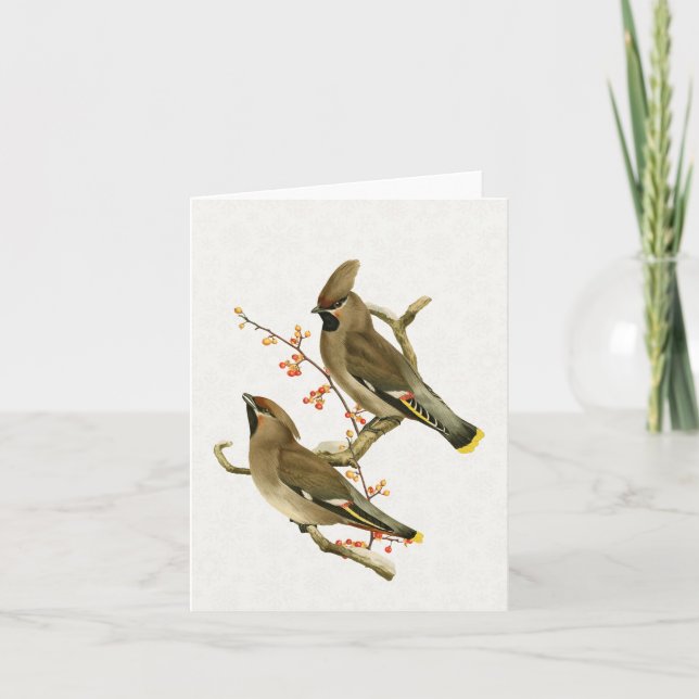 Cedar Waxwing Bird Holiday Nature Snowflake  Card (Front)