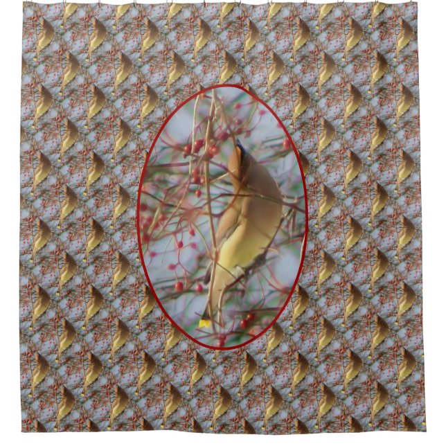 Cedar Waxwing Bird Nature Pattern  (Front)