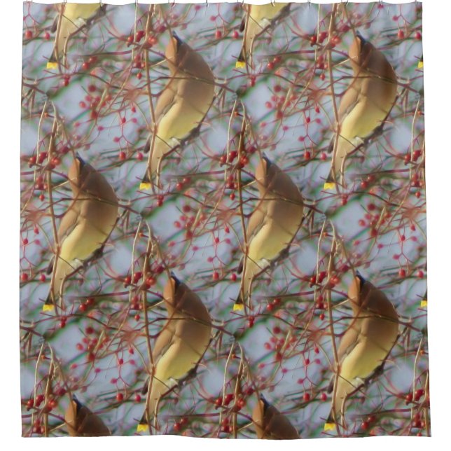Cedar Waxwing Bird Nature Pattern  (Front)
