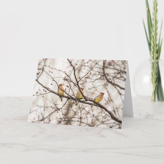 Cedar Waxwing Bird Note Card (Front)