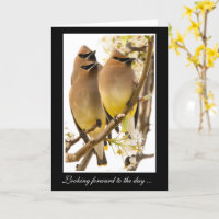 Cedar Waxwing Birds Get Well Card