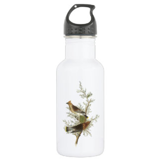 Cedar Waxwing by Audubon 532 Ml Water Bottle