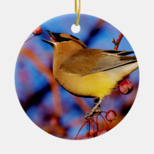 Cedar Waxwing Ceramic Ornament