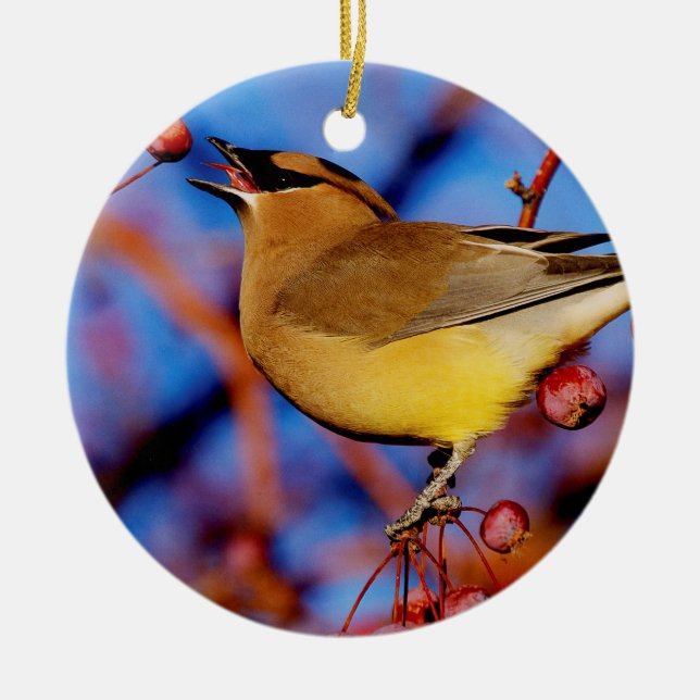 Cedar Waxwing Ceramic Ornament (Front)
